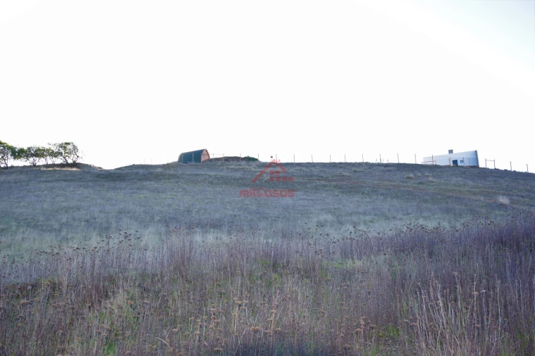 Negócio para Venda em Encarnação Foto 28