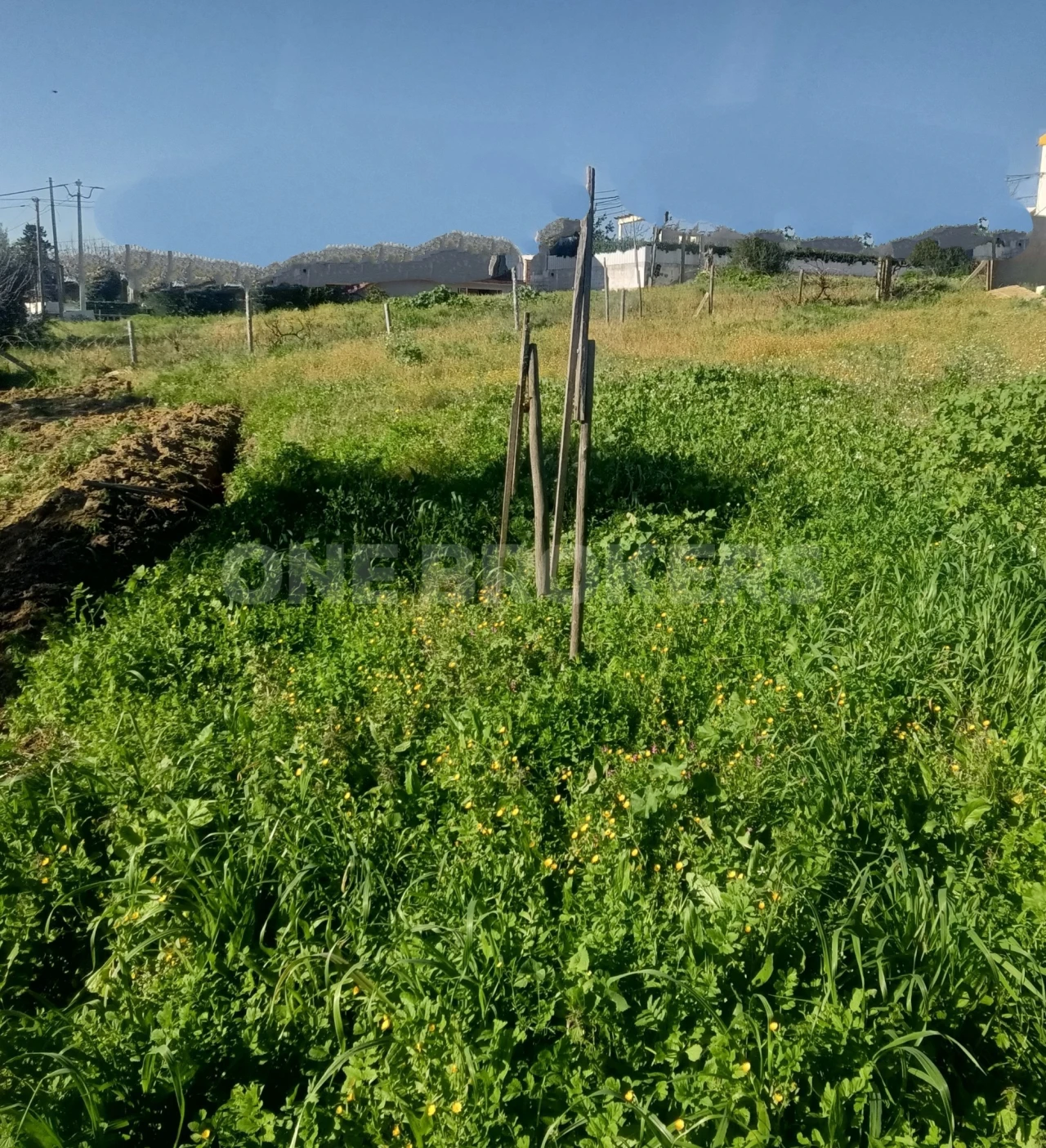Terreno para Venda em Santo Estêvão Foto 3