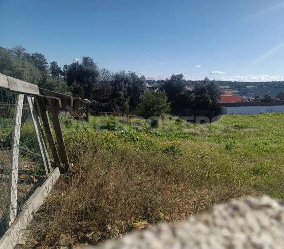 Terreno para Venda em Santo Estêvão