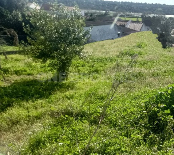 Terreno para Venda em Santo Estêvão Foto 2