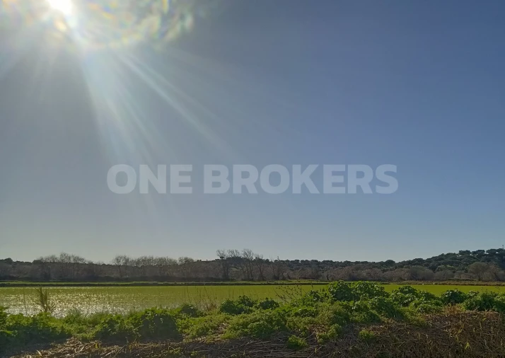 Terreno para Venda em Santo Estêvão Foto 6