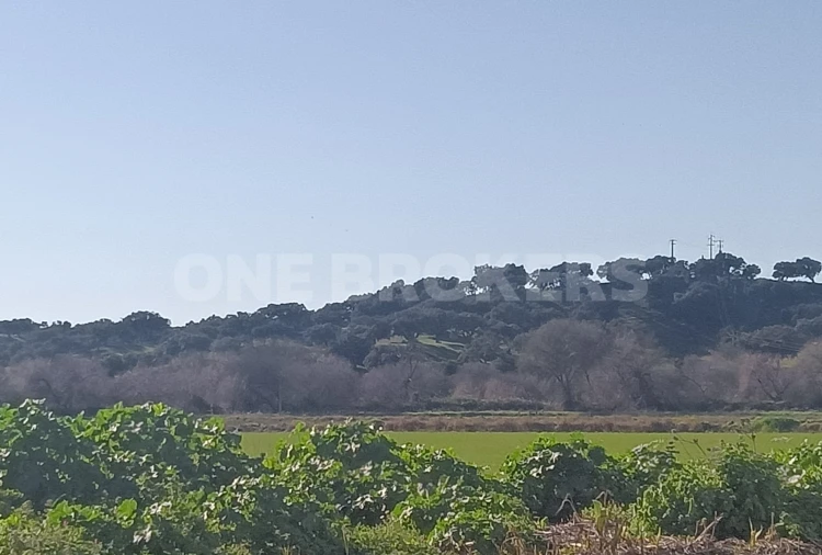 Terreno para Venda em Santo Estêvão Foto 5