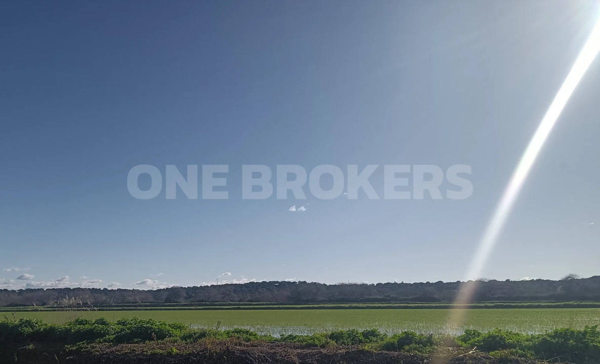 Terreno para Venda em Santo Estêvão Foto 4