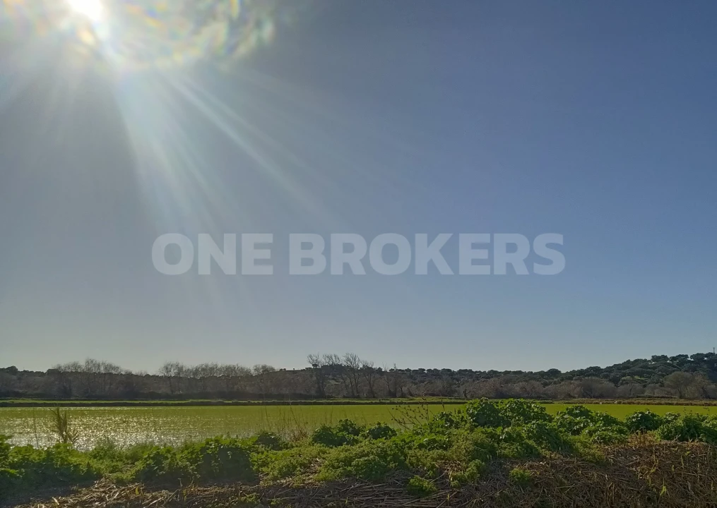 Terreno para Venda em Santo Estêvão Foto 6