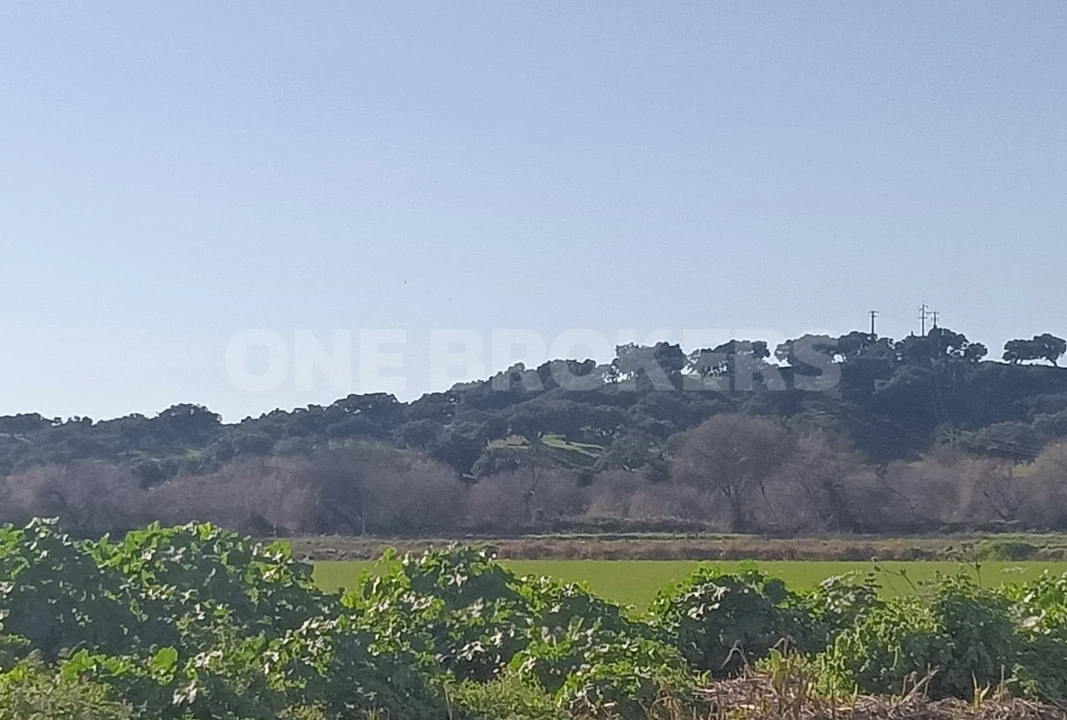 Terreno para Venda em Santo Estêvão Foto 5