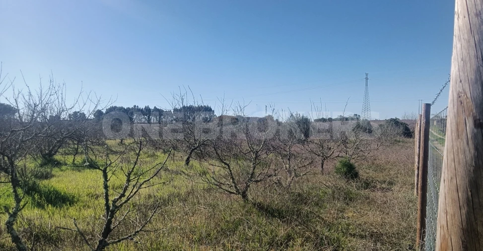 Terreno para Venda em Santo Estêvão Foto 8