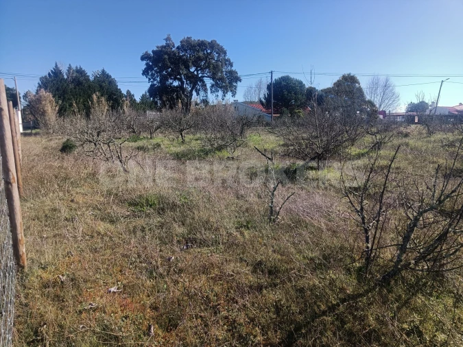 Terreno para Venda em Santo Estêvão Foto 7