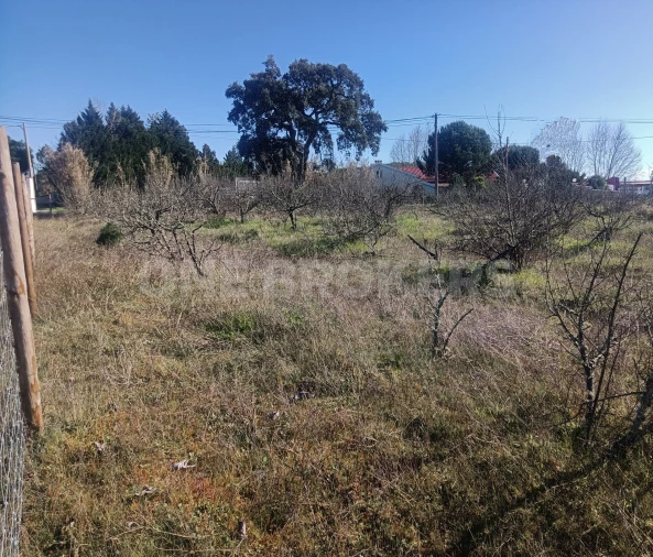 Terreno para Venda em Santo Estêvão Foto 5