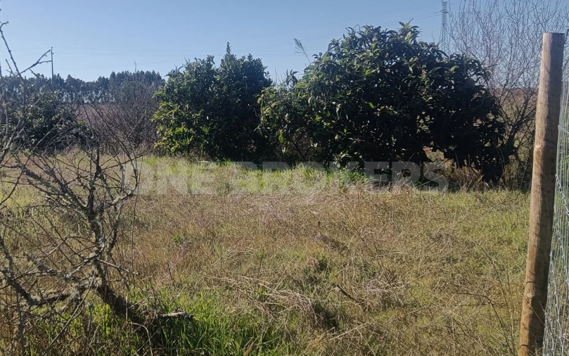 Terreno para Venda em Santo Estêvão Foto 10
