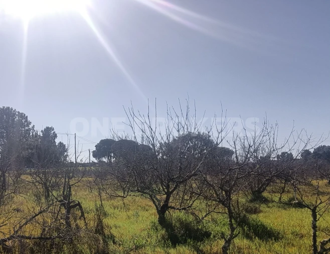 Terreno para Venda em Santo Estêvão Foto 9