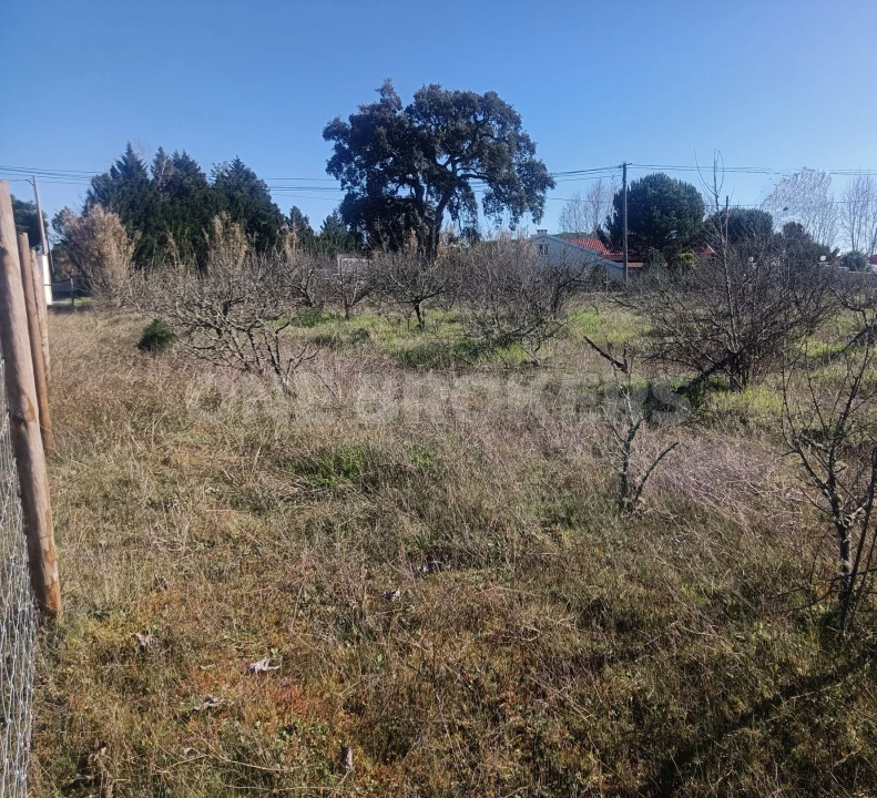 Terreno para Venda em Santo Estêvão Foto 6