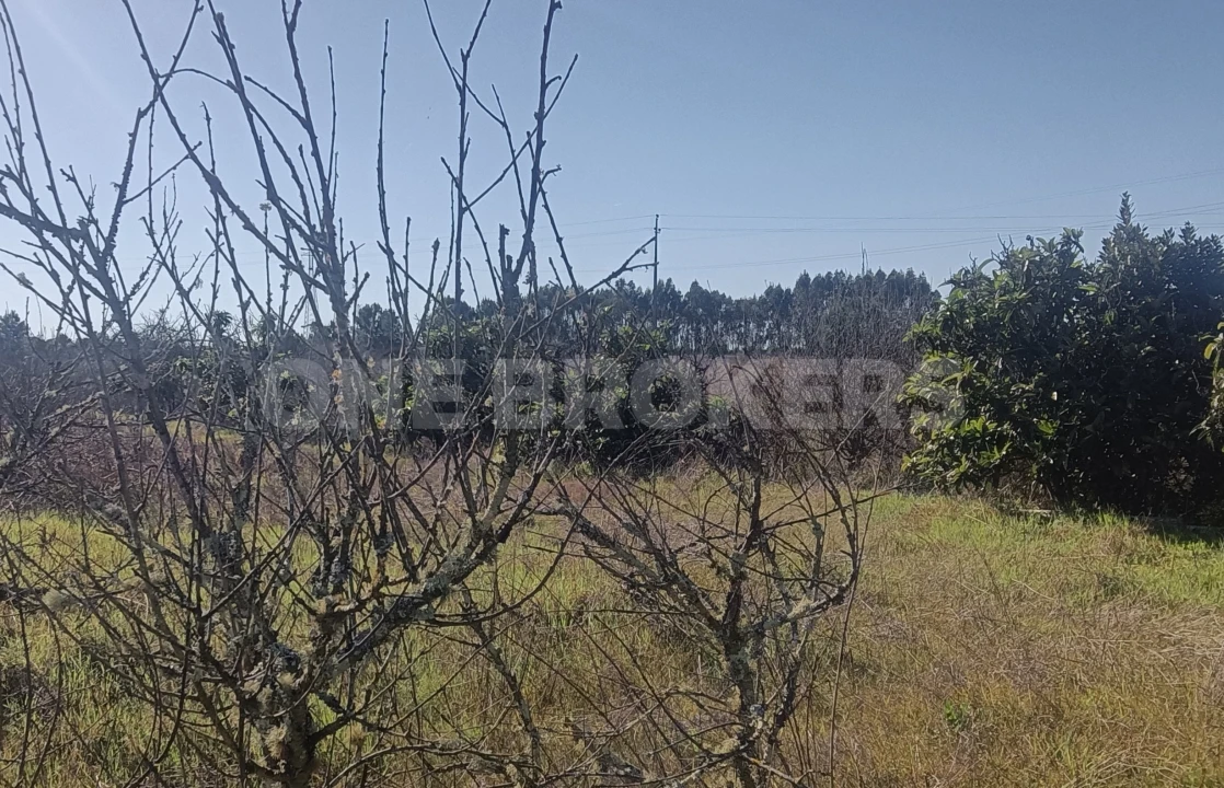 Terreno para Venda em Santo Estêvão Foto 11