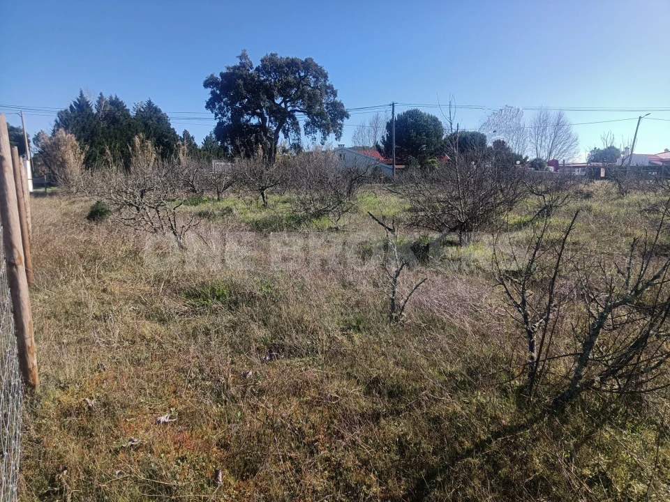 Terreno para Venda em Santo Estêvão Foto 4