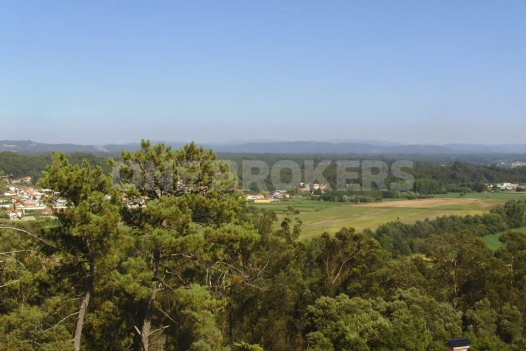 Negócio para Venda em Macinhata do Vouga Foto 17