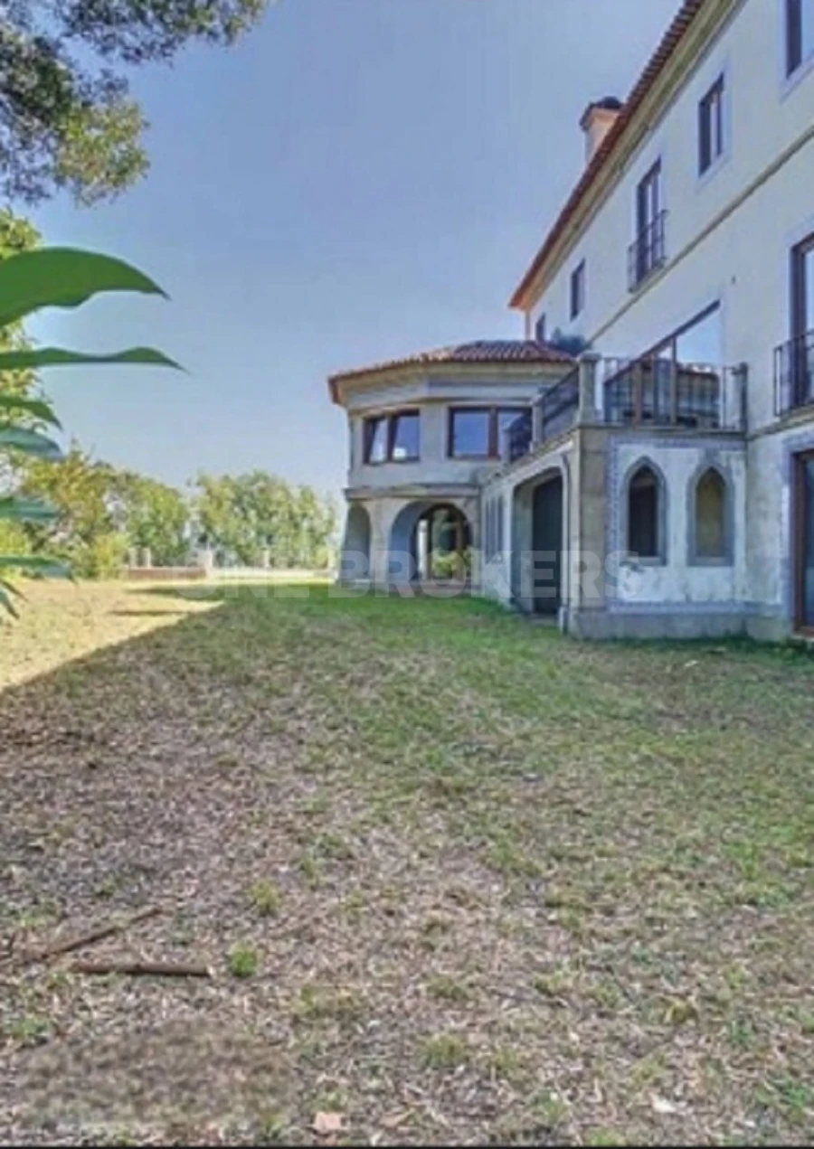 Negócio para Venda em Macinhata do Vouga Foto 8