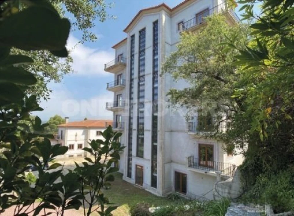 Negócio para Venda em Macinhata do Vouga Foto 5