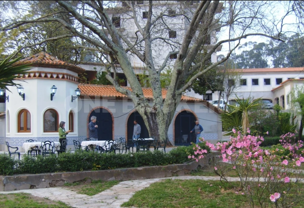 Negócio para Venda em Macinhata do Vouga Foto 14