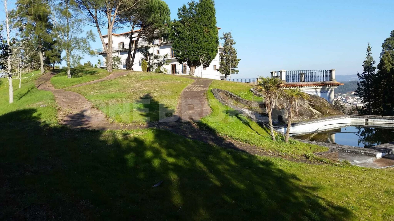 Negócio para Venda em Macinhata do Vouga Foto 18