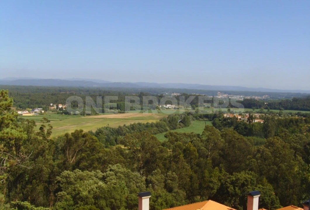 Negócio para Venda em Macinhata do Vouga Foto 16