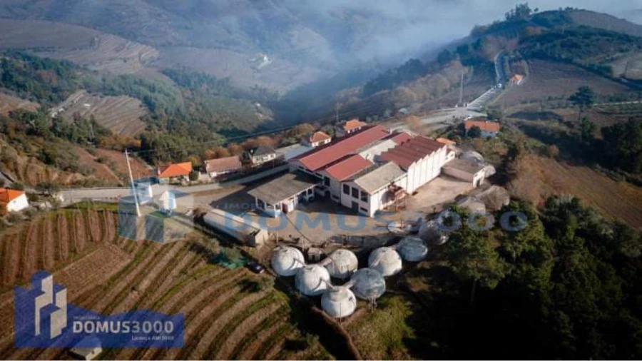 Negócio para Venda em Medrões Foto 3