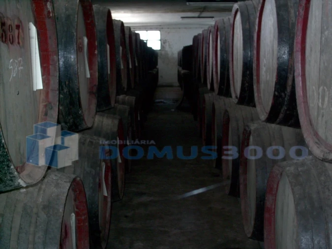 Negócio para Venda em Medrões Foto 9