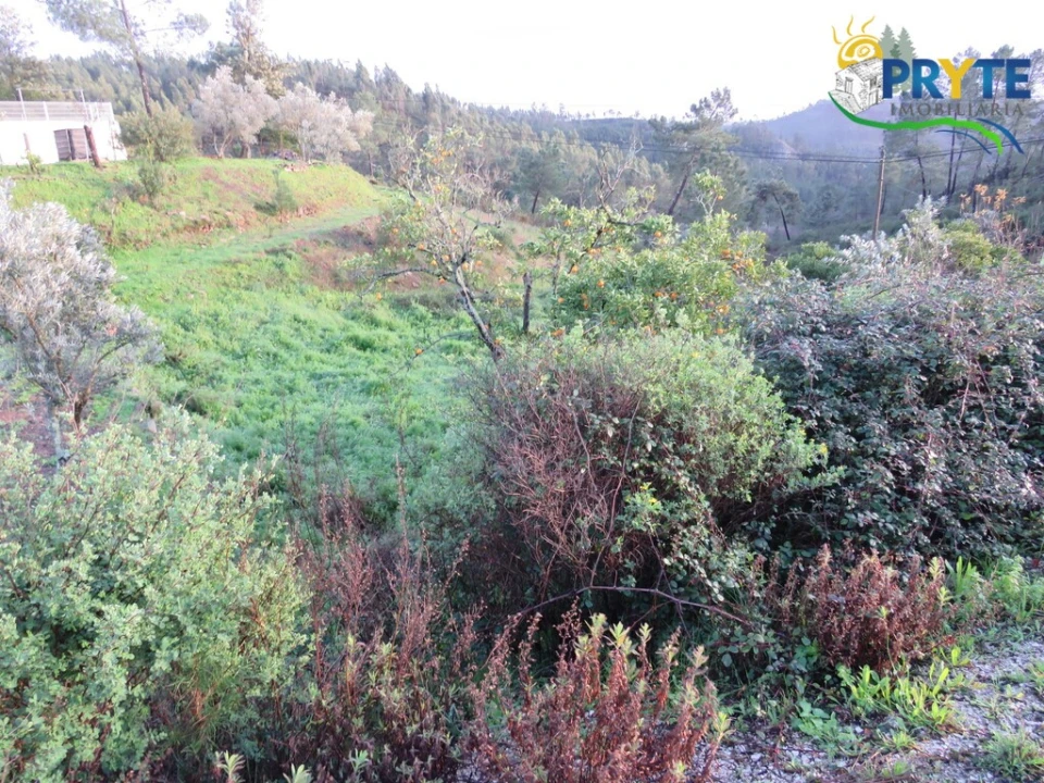 Terreno para Venda em Vila de Rei Foto 3