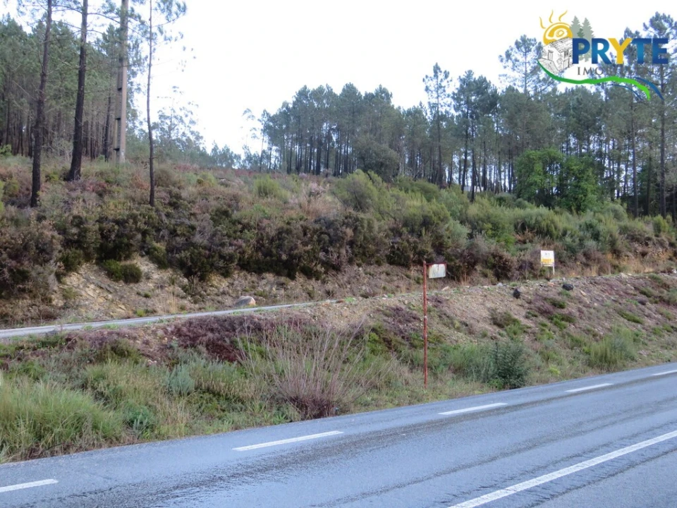 Terreno para Venda em Vila de Rei Foto 11