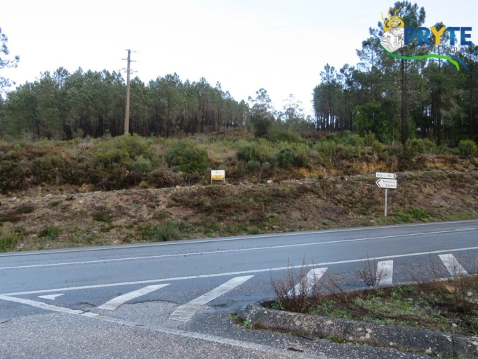 Terreno para Venda em Vila de Rei Foto 7
