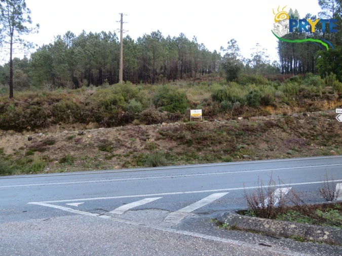 Terreno para Venda em Vila de Rei Foto 8