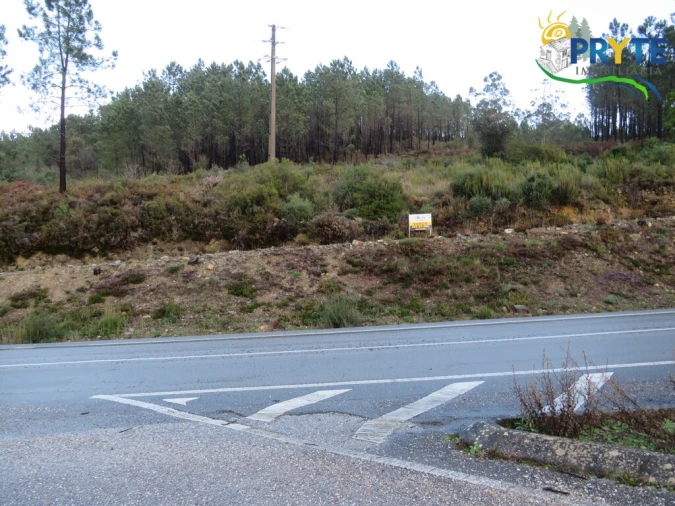 Terreno para Venda em Vila de Rei Foto 12