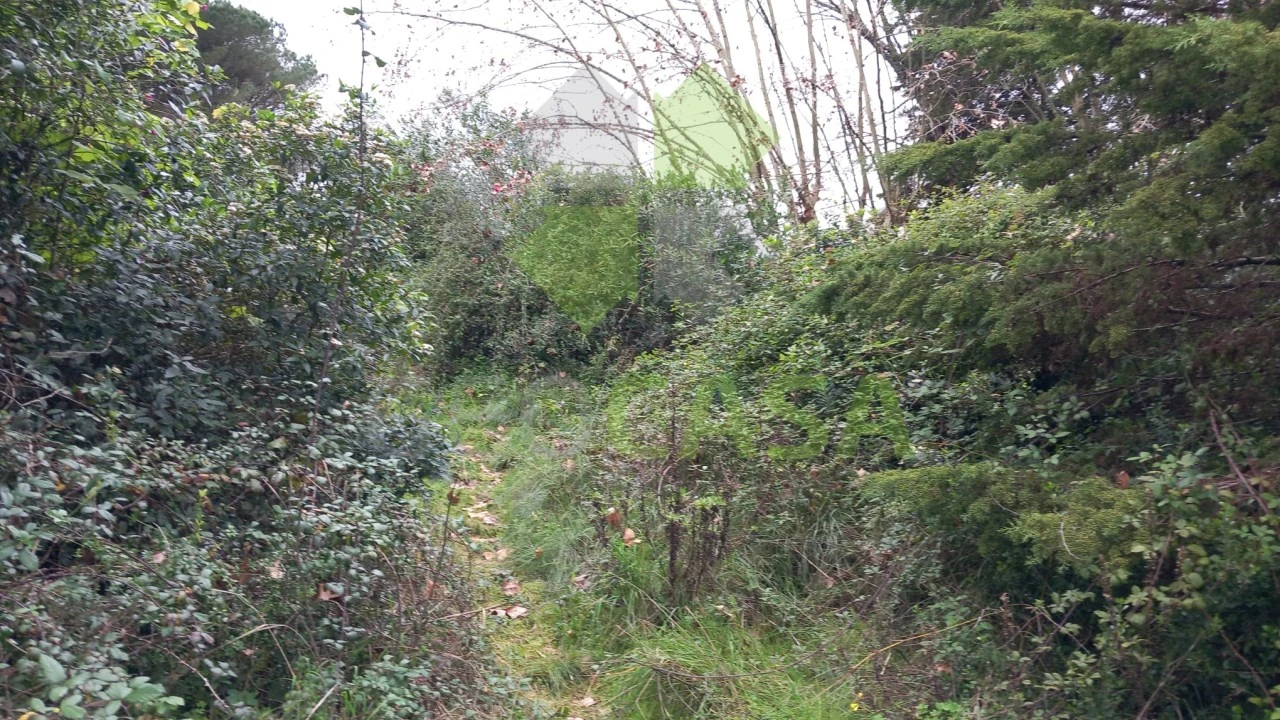Terreno Agricola ou Rústico para Venda em Rio de Mouro Foto 3