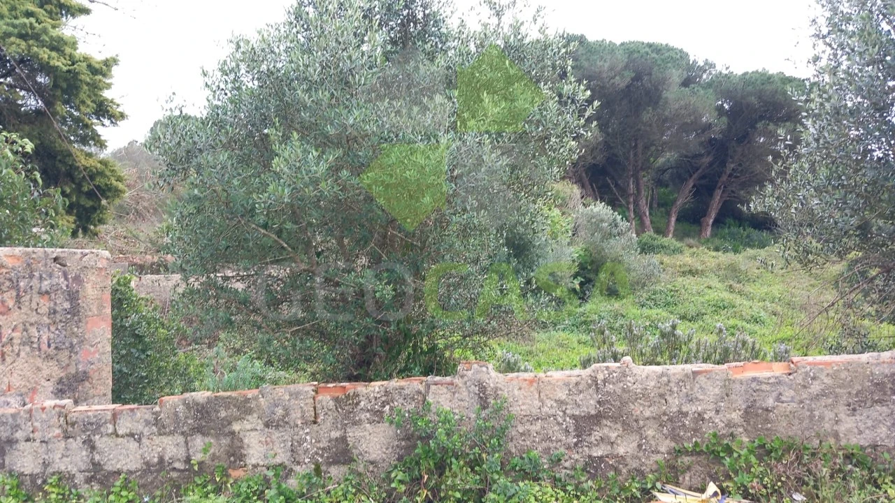 Terreno Agricola ou Rústico para Venda em Rio de Mouro Foto 5