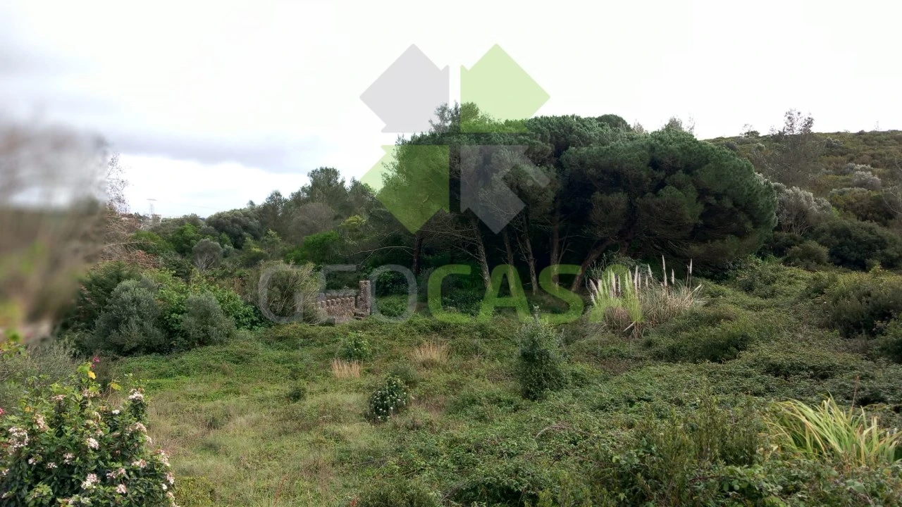 Terreno Agricola ou Rústico para Venda em Rio de Mouro Foto 12