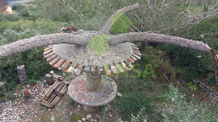 Terreno Agricola ou Rústico para Venda em Rio de Mouro Foto 4