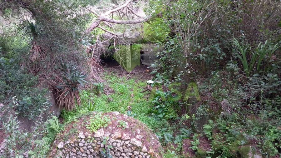 Terreno Agricola ou Rústico para Venda em Rio de Mouro Foto 11