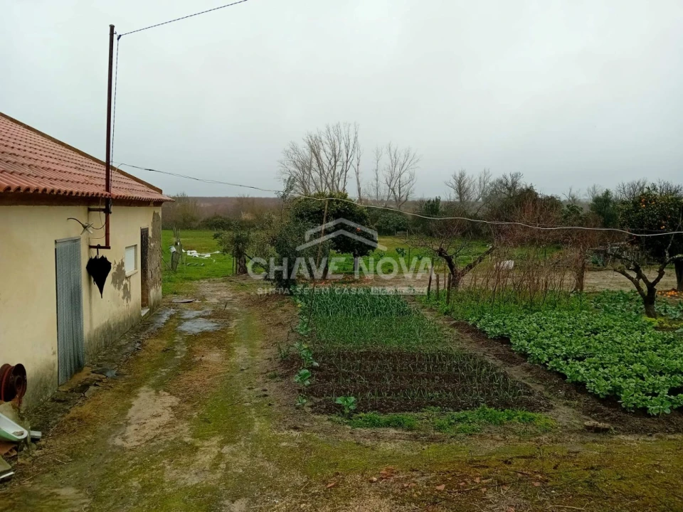 Quinta T4 para Venda em Mora Foto 3