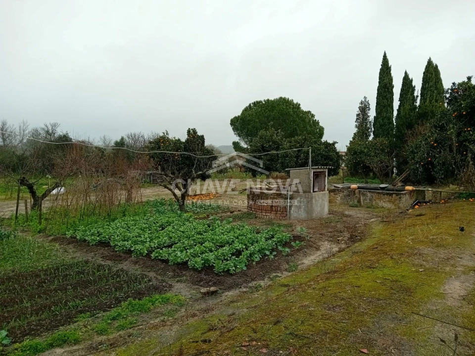 Quinta T4 para Venda em Mora Foto 8
