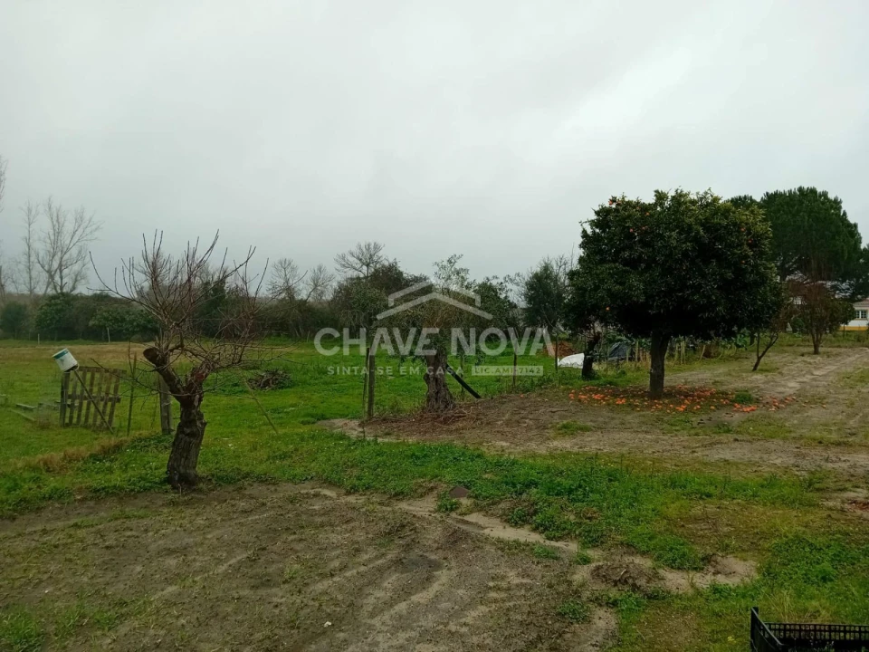 Quinta T4 para Venda em Mora Foto 9