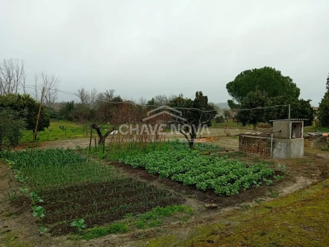 Quinta T4 para Venda em Mora Foto 4