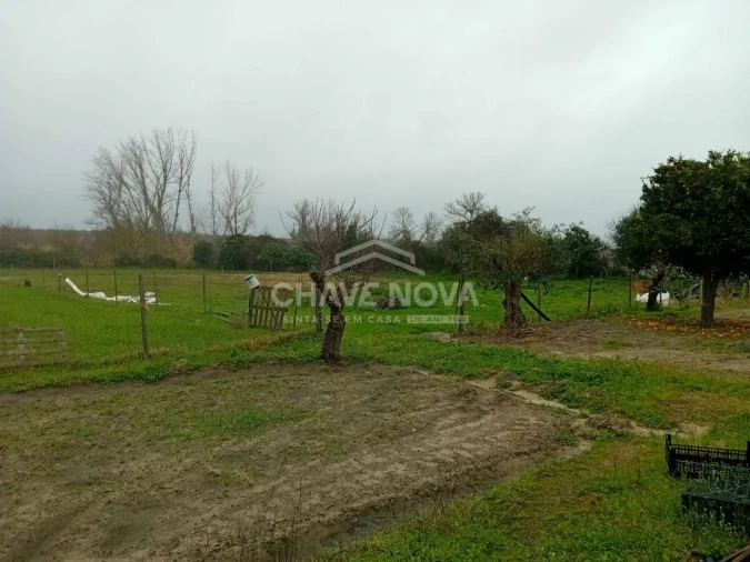 Quinta T4 para Venda em Mora Foto 6