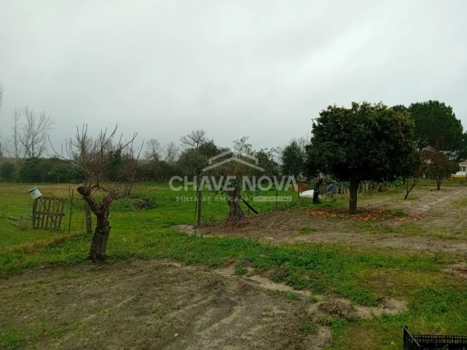 Quinta T4 para Venda em Mora Foto 9