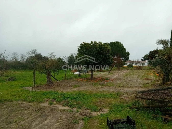 Quinta T4 para Venda em Mora Foto 15