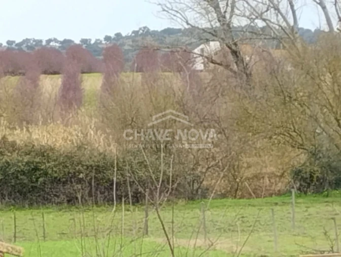 Quinta T4 para Venda em Mora Foto 19