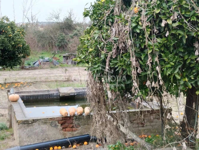 Quinta T4 para Venda em Mora Foto 16