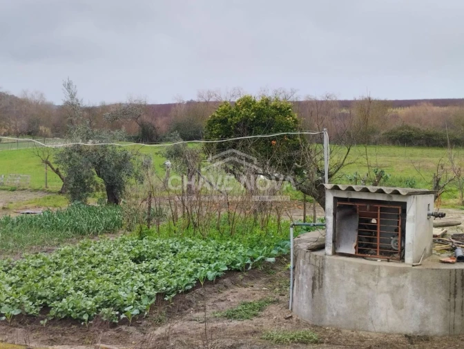 Quinta T4 para Venda em Mora Foto 17