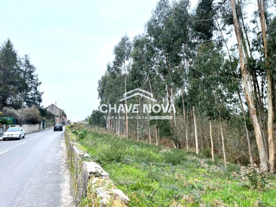 Terreno Agricola ou Rústico para Venda em Carregosa Foto 1