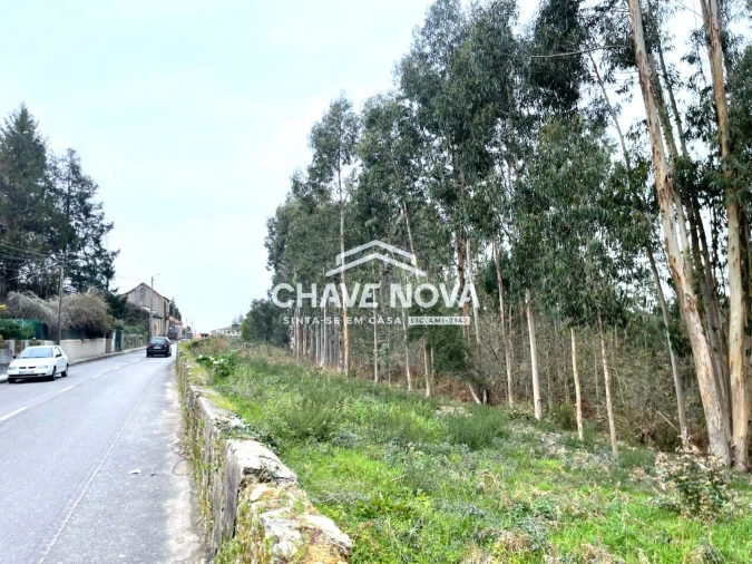Terreno Agricola ou Rústico para Venda em Carregosa Foto 1