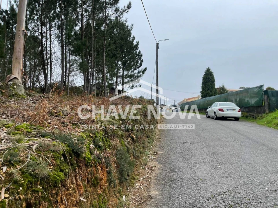 Terreno Agricola ou Rústico para Venda em São Roque Foto 2
