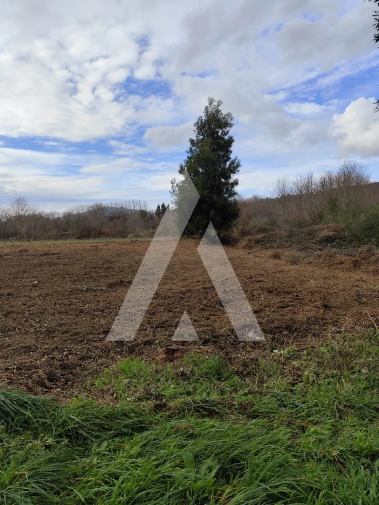 Terreno Agricola ou Rústico para Venda em Argela Foto 3