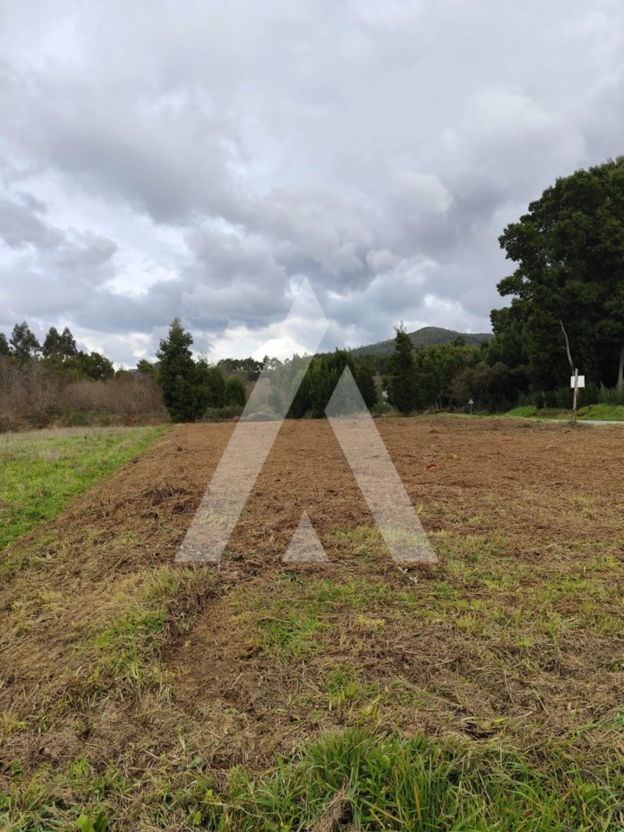 Terreno Agricola ou Rústico para Venda em Argela Foto 1